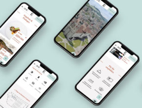 Einstein Website Projekt Übersicht